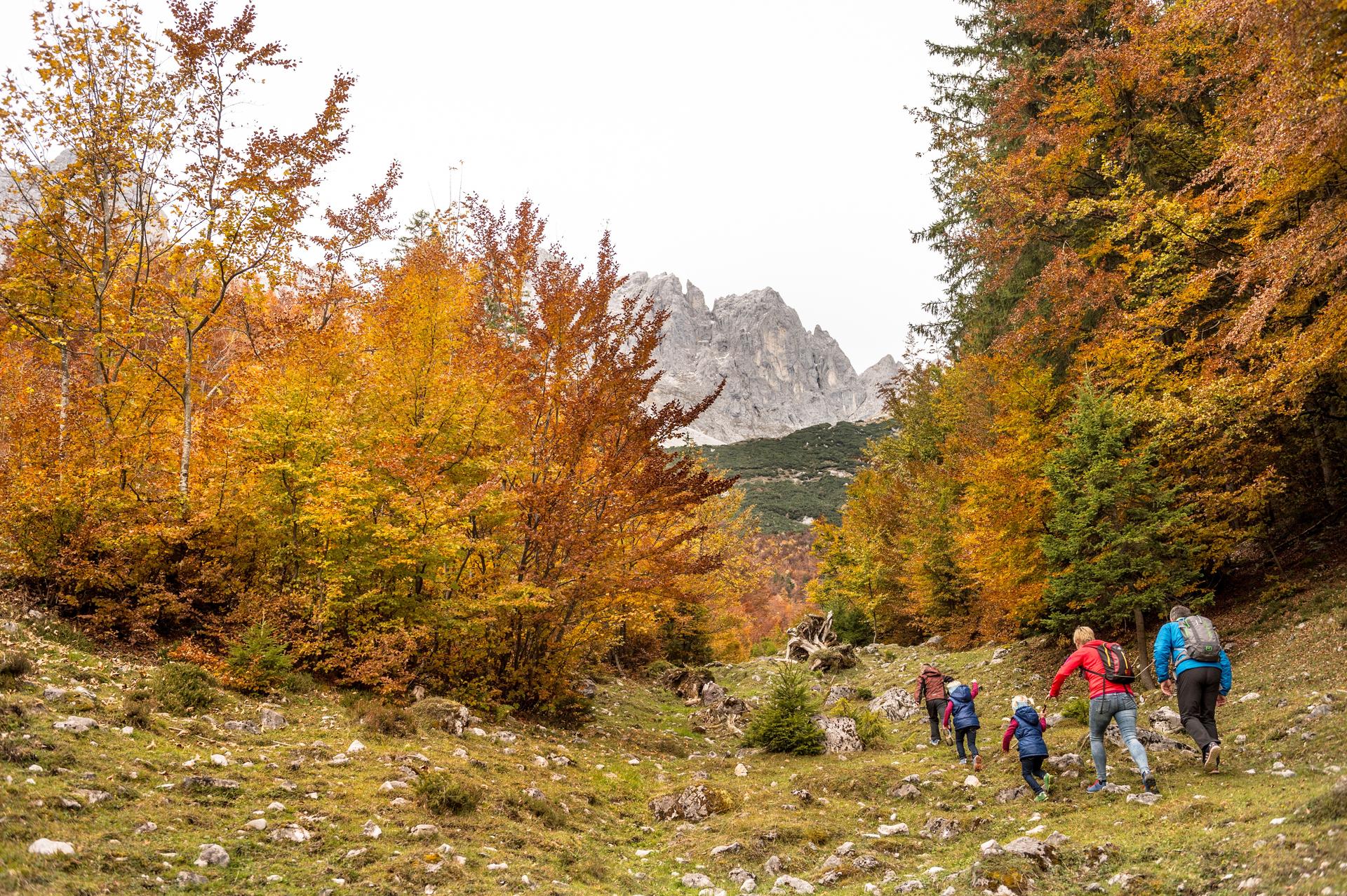 Wandern im Herbst