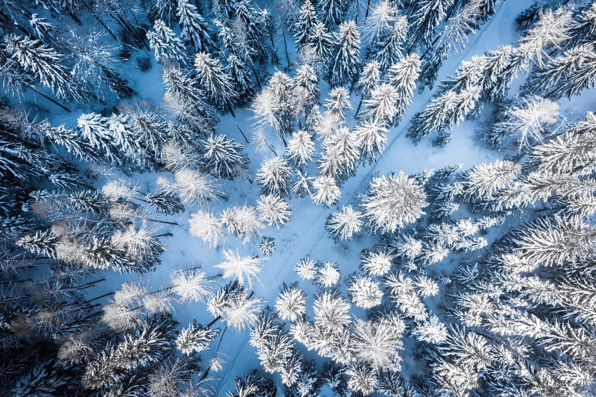 Der Natur ganz nah sein